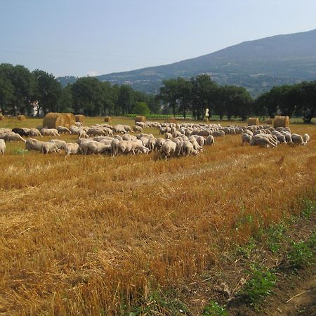 ריווטורטו Il Tugurio Agriturismo B&B מראה חיצוני תמונה