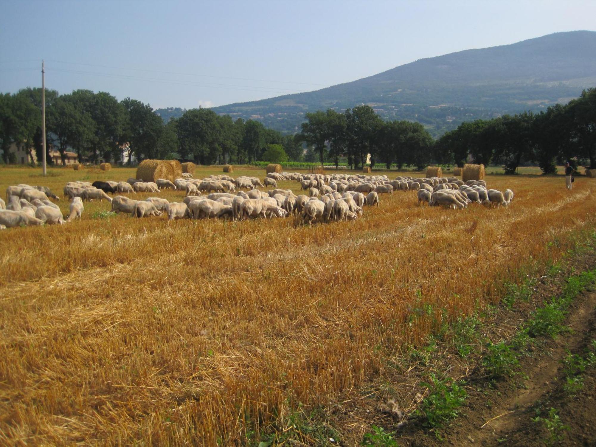 ריווטורטו Il Tugurio Agriturismo B&B מראה חיצוני תמונה